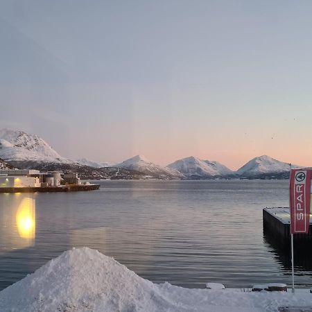 Aurora Harbour House Villa Lodingen Esterno foto