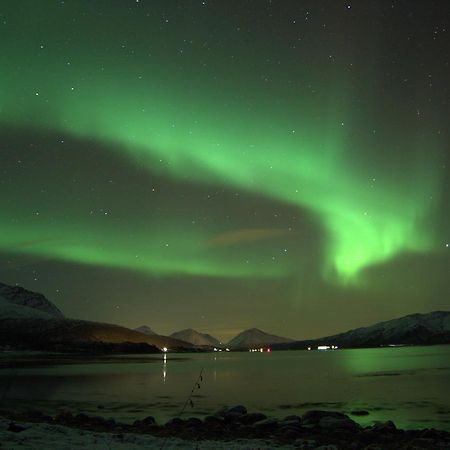 Aurora Harbour House Villa Lodingen Esterno foto