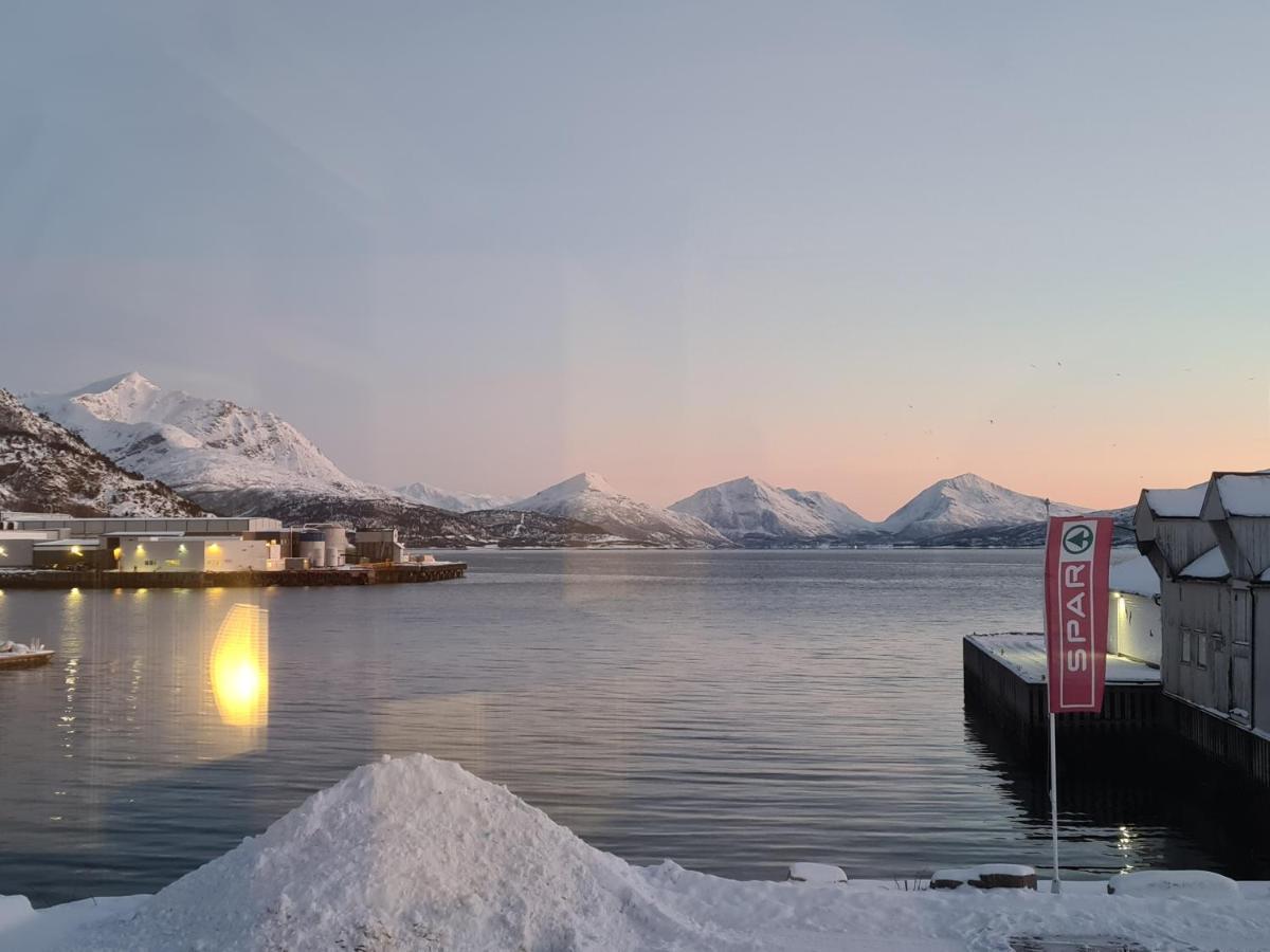 Aurora Harbour House Villa Lodingen Esterno foto